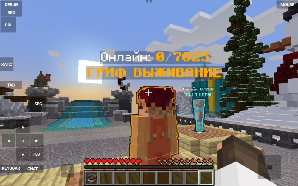Screenshot_20250123_135725_PojavLauncher (Minecraft Java Edition for Android).jpg