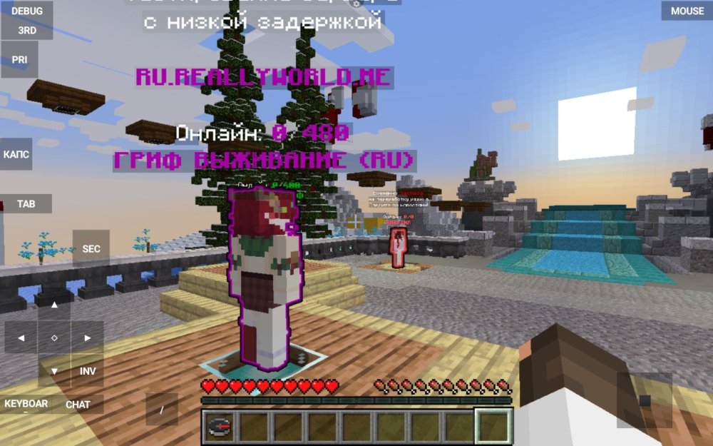 Screenshot_20250123_135732_PojavLauncher (Minecraft Java Edition for Android).jpg