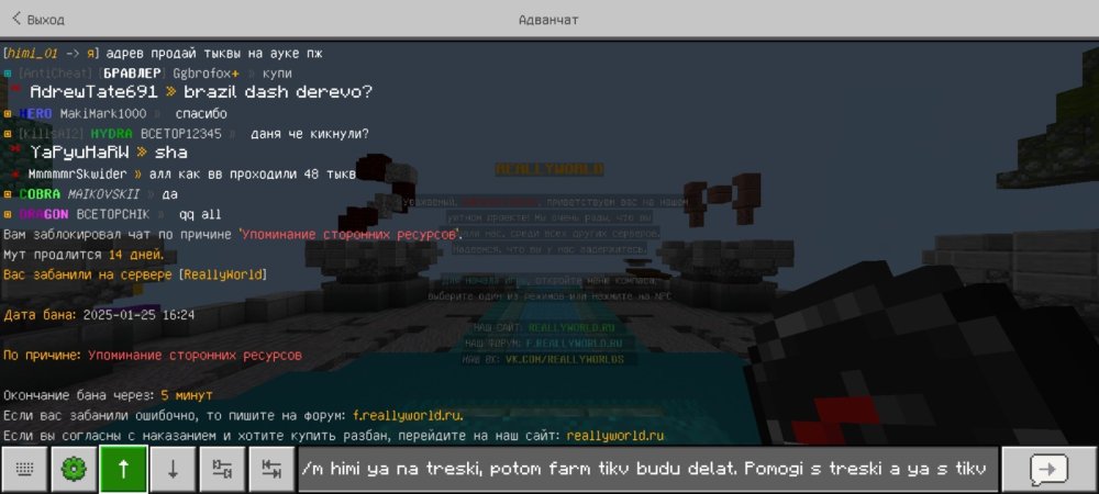 Screenshot_20250125_152445_Minecraft.jpg