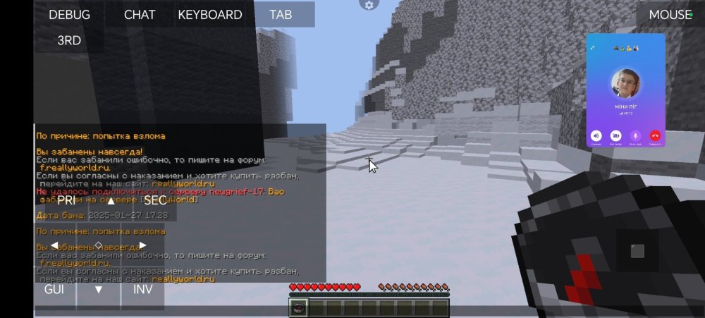 Screenshot_20250127_172845_net_kdt_pojavlaunch_MainActivity.jpg