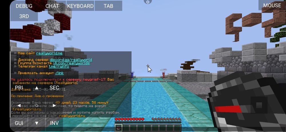 Screenshot_20250129_203305_PojavLauncher (Minecraft Java Edition for Android).jpg
