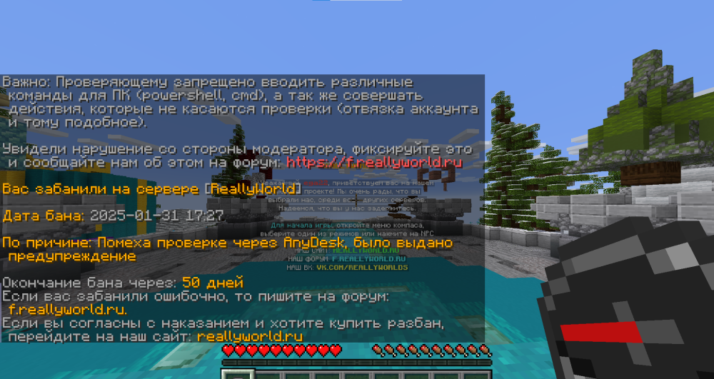 изображение_2025-01-31_173921358.png
