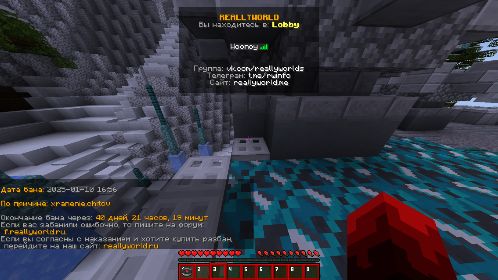 image.thumb.png.1e8aa33282222d9b78c392bd2ac6014e.png