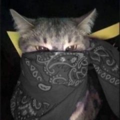 Hostik