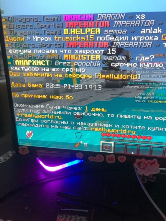 sNHJujsvpxM.jpg
