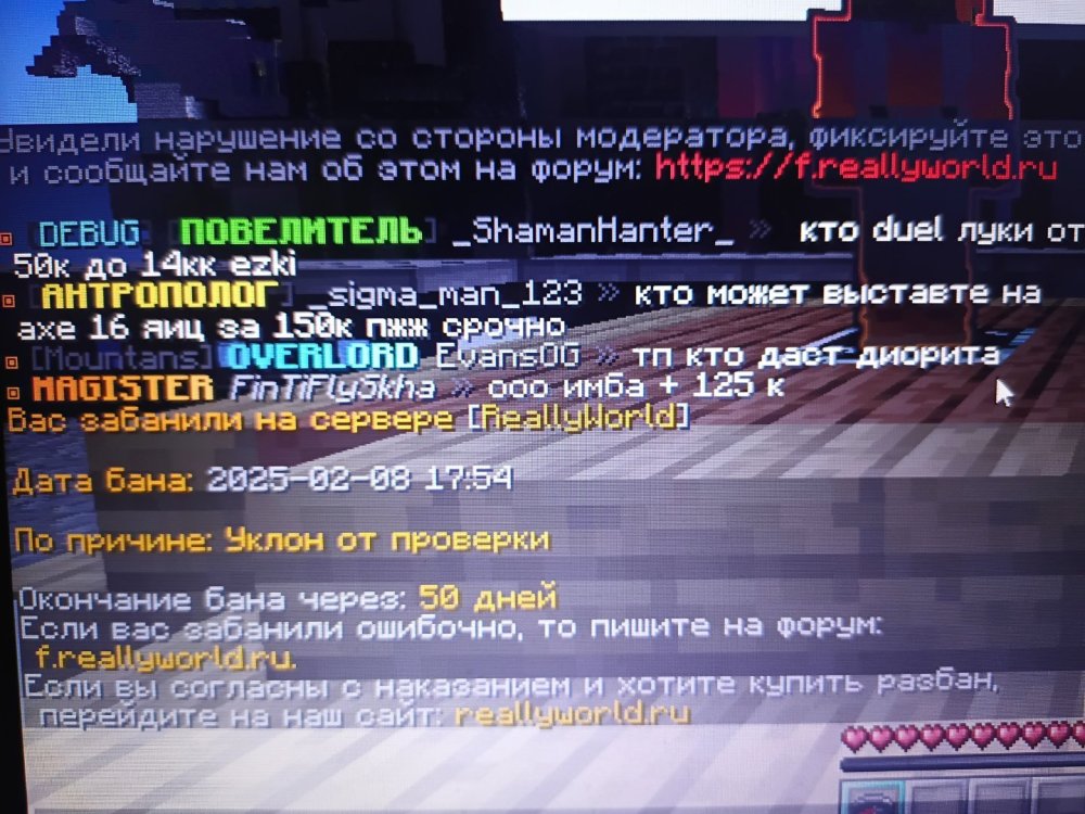 17390266725557633456456865102407.jpg