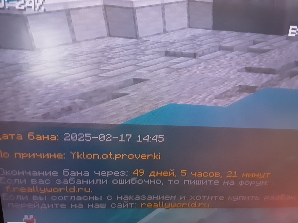 17398598289752221518301683313080.jpg