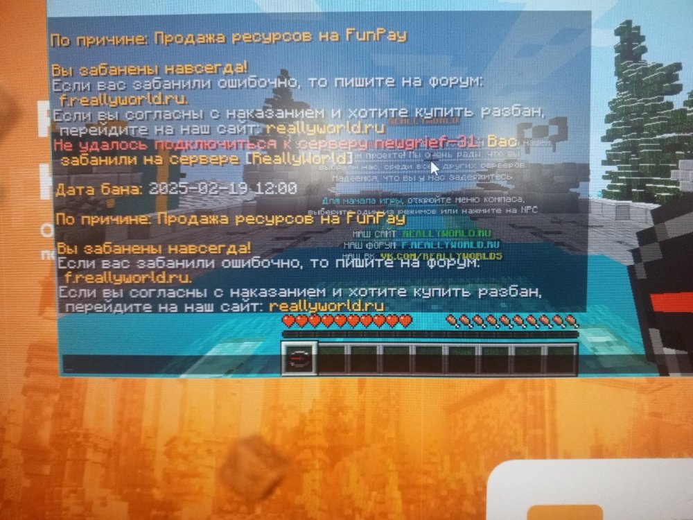 1739956610717193681942431979204.jpg