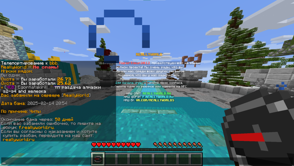 2025-02-14211128.thumb.png.606a87df1c339db0792f146738da7d78.png