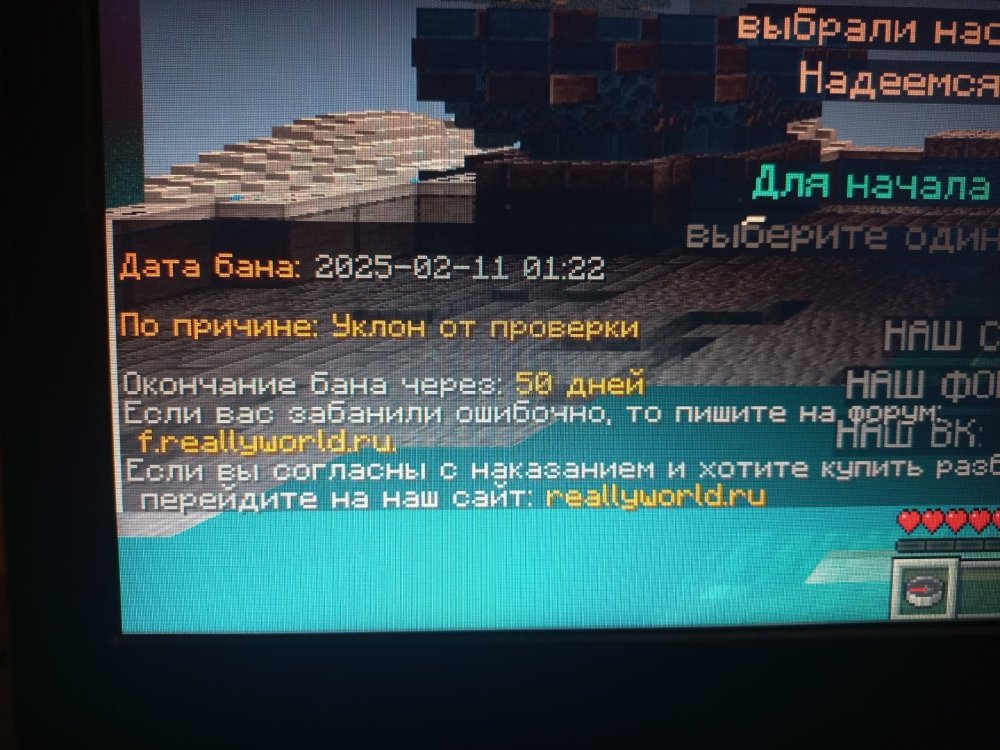 20250211_012246.jpg