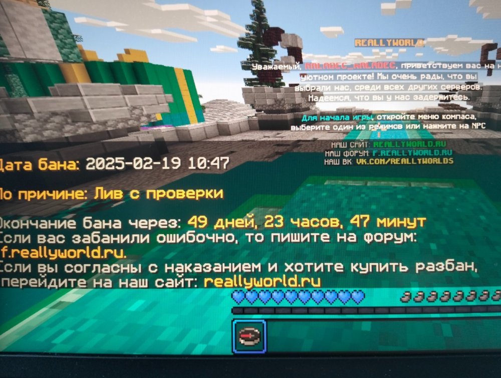 IMG20250219125948.jpg