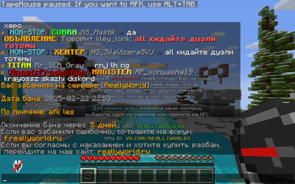 IMG_2403.thumb.png.3fe9b5f0c7b5ead35cf2a503a7ee4613.png