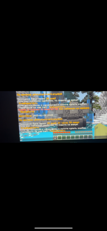IMG_7321.png