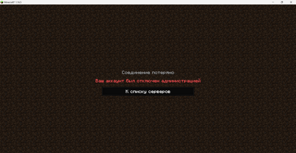 Minecraft_ 1.16.5 22.02.2025 19_53_29.png