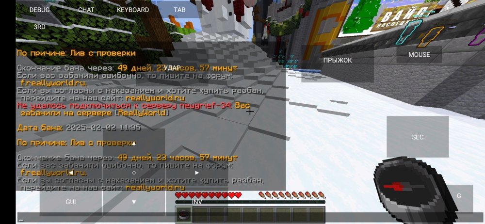 Screenshot_2025-02-02-11-38-10-912_net.kdt.pojavlaunch.jpg