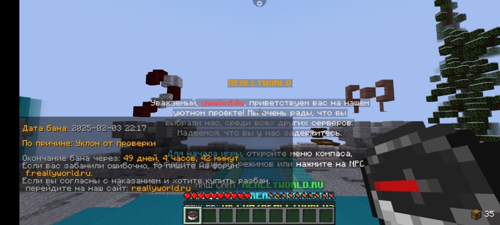 Screenshot_2025-02-04-19-35-09-032_net.kdt.pojavlaunch.jpg