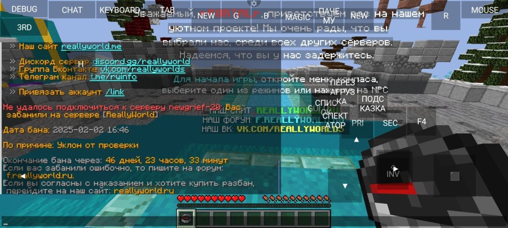 Screenshot_2025-02-05-16-15-13-098_net_kdt.pojavlaunch.thumb.jpg.7bdc21ccdecb7f7bcffeb2e4dde795f9.jpg