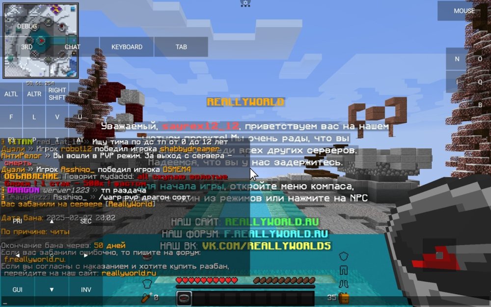 Screenshot_2025-02-07-22-02-15-765_net_kdt.pojavlaunch.thumb.jpg.de90931e0eb384942ff48073d124c150.jpg