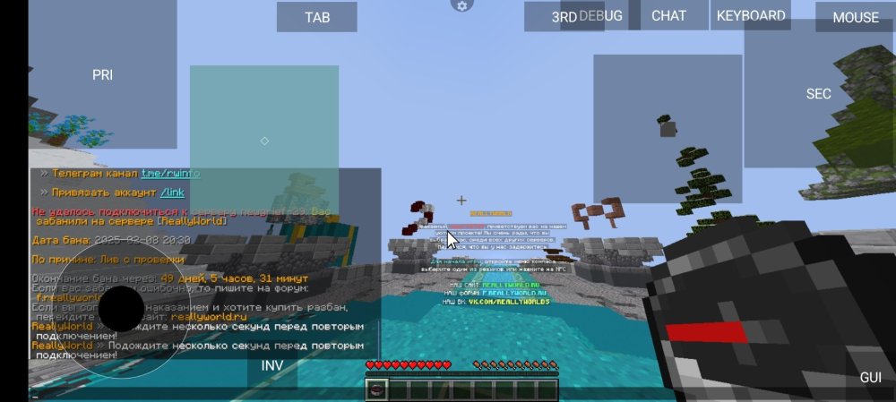 Screenshot_2025-02-09-14-59-42-492_net.kdt.pojavlaunch.jpg
