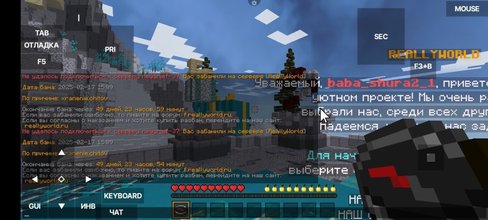 Screenshot_2025-02-17-15-26-14-762_net.kdt.pojavlaunch.jpg