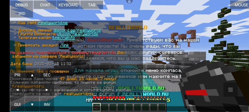 Screenshot_2025-02-17-22-25-17-280_net.kdt.pojavlaunch.jpg