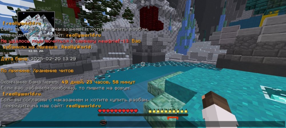 Screenshot_2025-02-20-13-41-17-467_net_kdt.pojavlaunch.thumb.jpg.c4a4fda2cd3e1be1f3fba8b59085f6f8.jpg