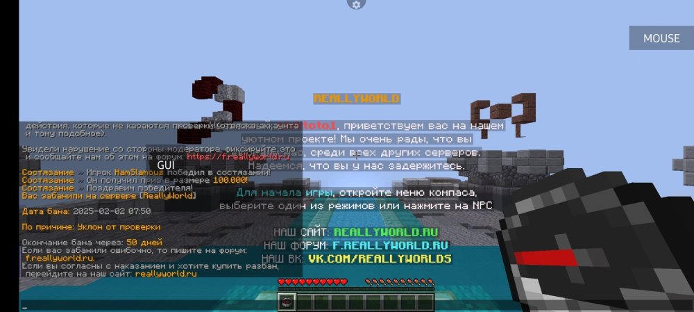Screenshot_20250202_115022_PojavLauncher (Minecraft Java Edition for Android).jpg