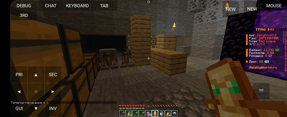 Screenshot_20250203_104253_PojavLauncher (Minecraft Java Edition for Android).jpg