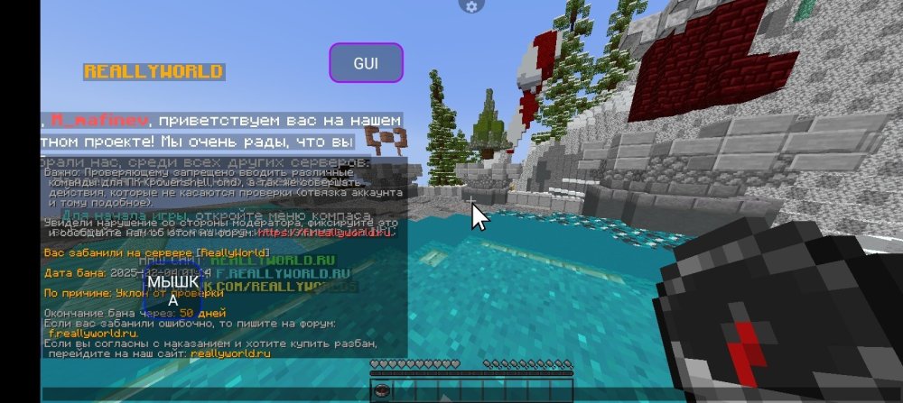 Screenshot_20250204-011558.jpg