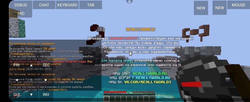 Screenshot_20250204_205956_PojavLauncher (Minecraft Java Edition for Android).jpg