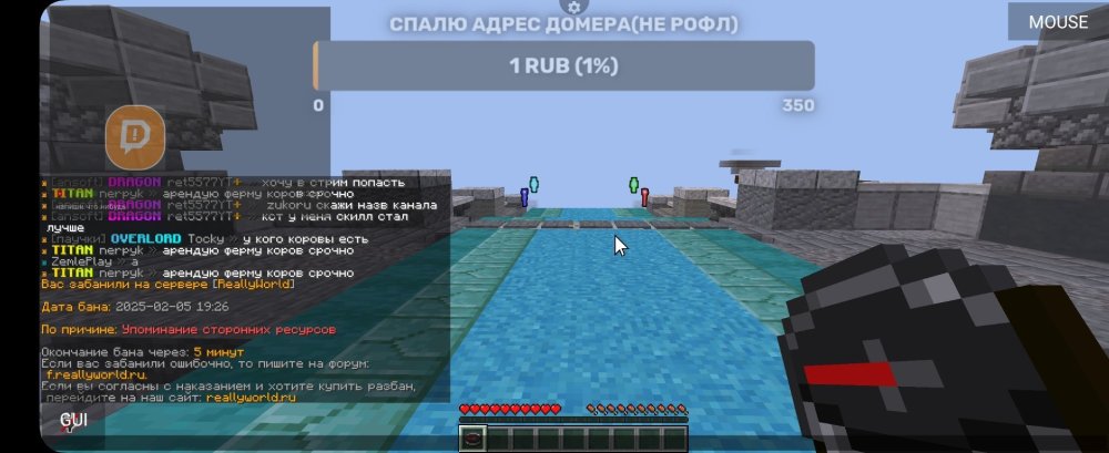 Screenshot_20250205_192648_PojavLauncher (Minecraft Java Edition for Android).jpg