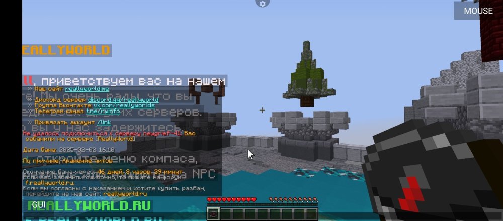 Screenshot_20250206-083143.jpg