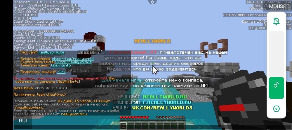 Screenshot_20250210-002108.jpeg