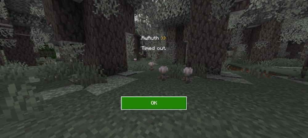 Screenshot_20250210_181556_Minecraft.jpg