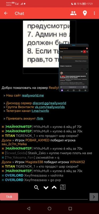 Screenshot_20250212_172125_com.yandex.browser.jpg