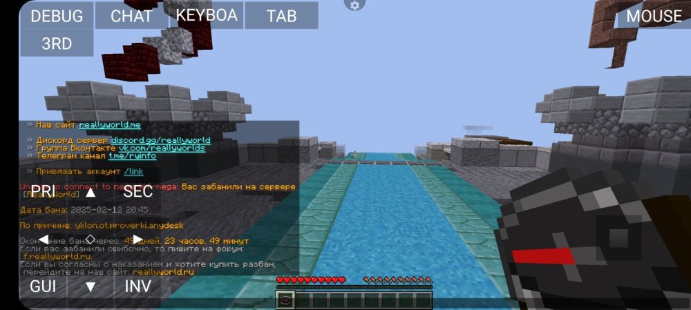Screenshot_20250212_215638_PojavLauncher (Minecraft Java Edition for Android).jpg