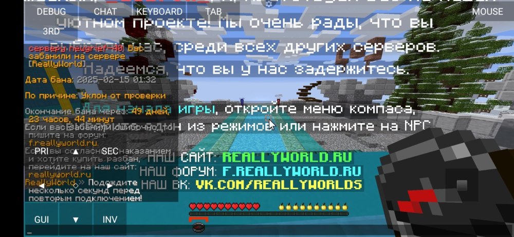 Screenshot_20250215_034756_net_kdt.pojavlaunch.thumb.jpg.d94206753fe3a68c1074df63d2ddbd4e.jpg