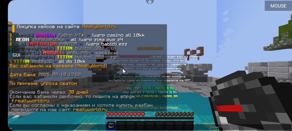 Screenshot_20250219_170210_PojavLauncher(MinecraftJavaEditionforAndroid).thumb.jpg.fe95b7f48f207d183d68d97bac5bdf35.jpg