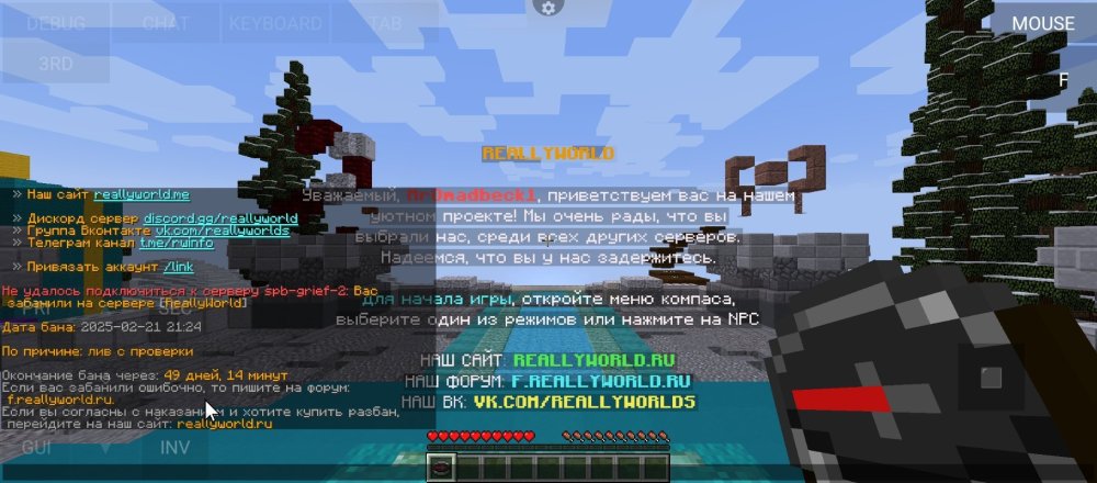 Screenshot_20250222-211016.jpg
