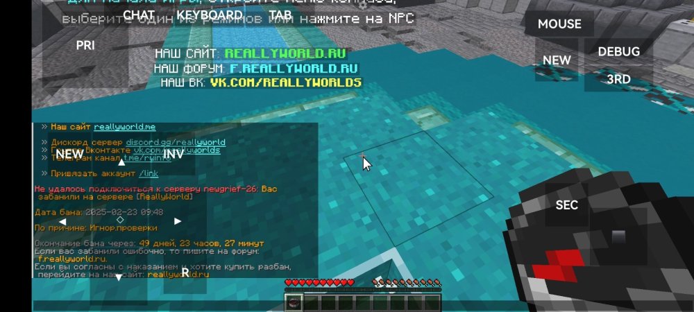 Screenshot_20250223_142141_net_kdt.pojavlaunch.thumb.jpg.797fee75f6885ad07b5bc61fe99d10a8.jpg