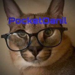 PocketDanil