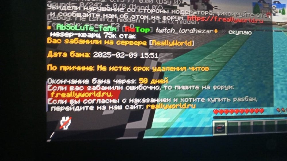 image.thumb.jpeg.45a1e0f828fff0f7bcc473b2e5516be3.jpeg