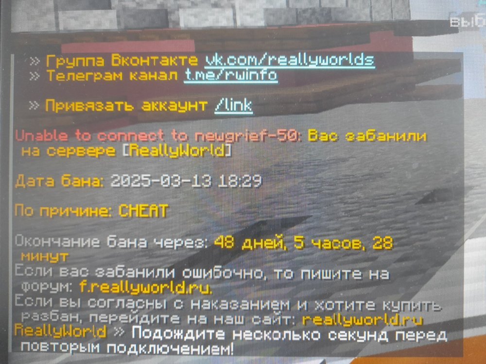 20250315_140256.jpg