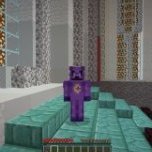 CatNapus