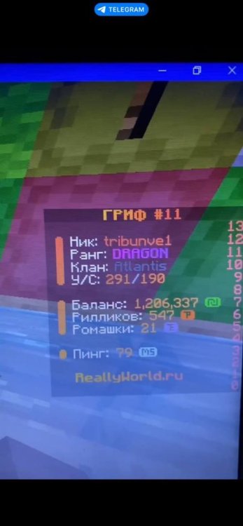 5427025254393441448.jpg