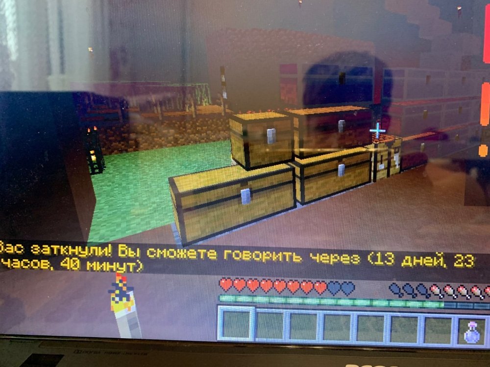 70D80E94-EF0A-4EEA-91E9-A11CA1771B17.thumb.jpeg.3713b36d87d2a20b199d21eaf358dedf.jpeg