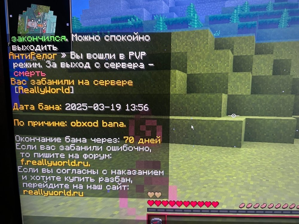 IMG_1401.jpeg