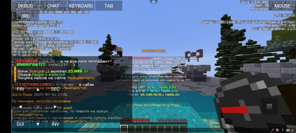 Screenshot_2025-03-01-13-02-00-042_net.kdt.pojavlaunch.jpg