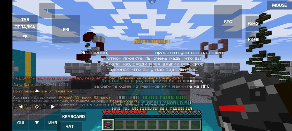 Screenshot_2025-03-01-16-01-13-851_net.kdt.pojavlaunch.jpg