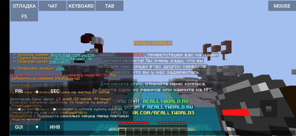 Screenshot_2025-03-03-17-08-56-967_net_kdt.pojavlaunch.thumb.jpg.412e4b16f29a148f219f904dc3a1b5df.jpg